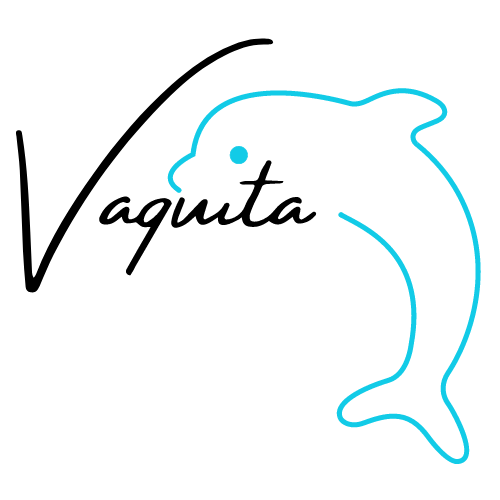 Vaquita